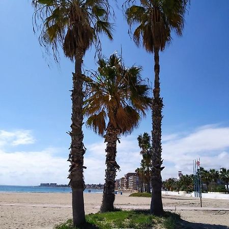 Apartament Carmen 托雷维耶哈 外观 照片